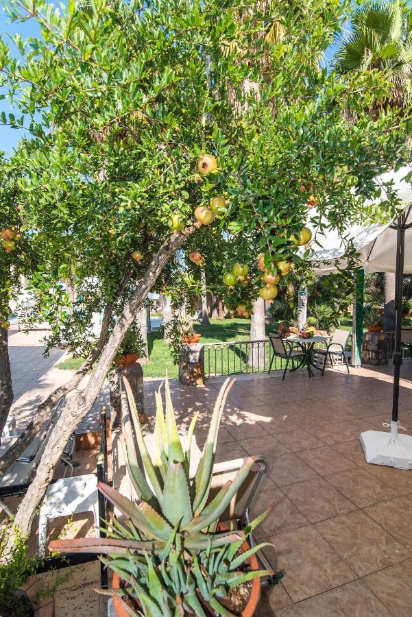 Oasis Studios Malia  Exterior photo